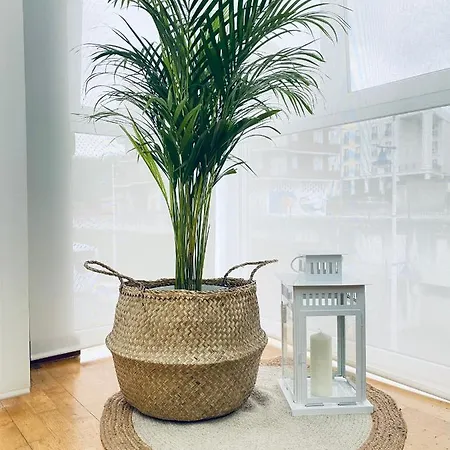 Costa Del Sol Suances