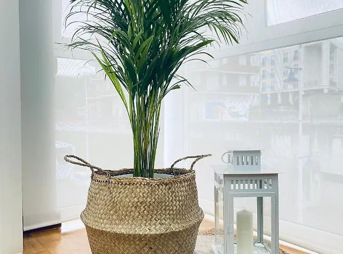 Costa Del Sol Suances